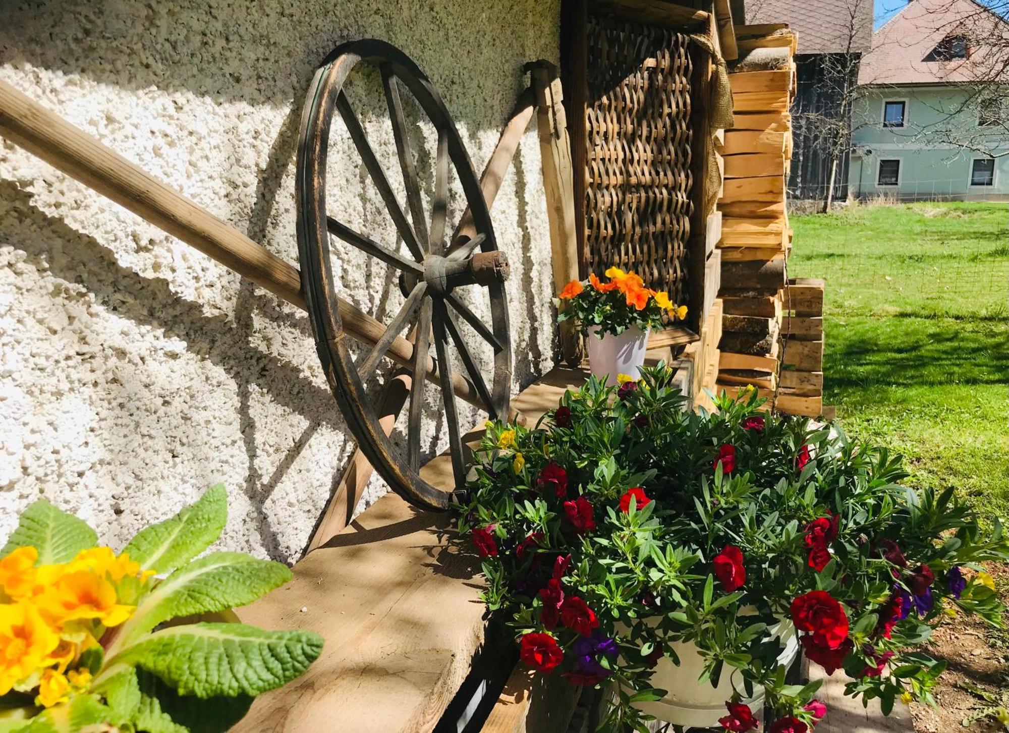 Apartment Mona'S Home Sankt Pankraz Екстериор снимка